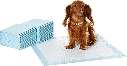 Dog and Puppy Pee Pads with 5-Layer Leak-Proof Design and Quick-Dry Surface for Potty Training, Regular, 22 x 22 Inch, Scented - Pack of 50